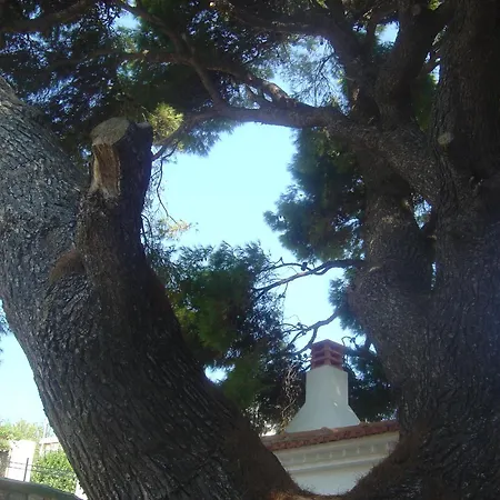 Apartamento Captain George's