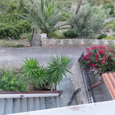 Captain George's Patitiri