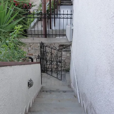 Captain George's Patitiri