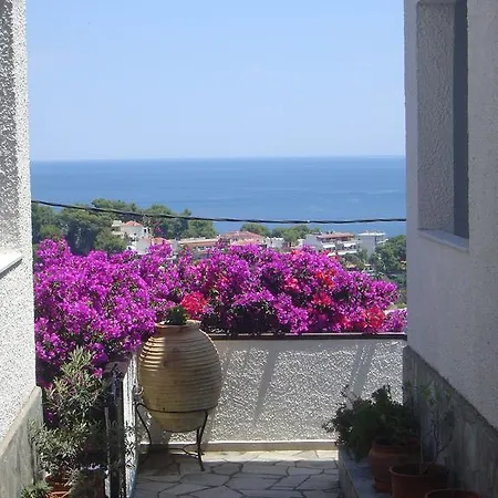 Captain George's Patitiri